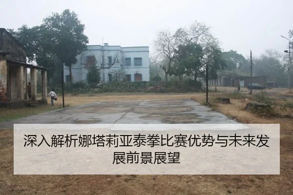 深入解析娜塔莉亚泰拳比赛优势与未来发展前景展望