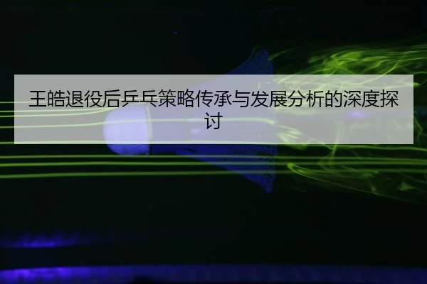 王皓退役后乒乓策略传承与发展分析的深度探讨