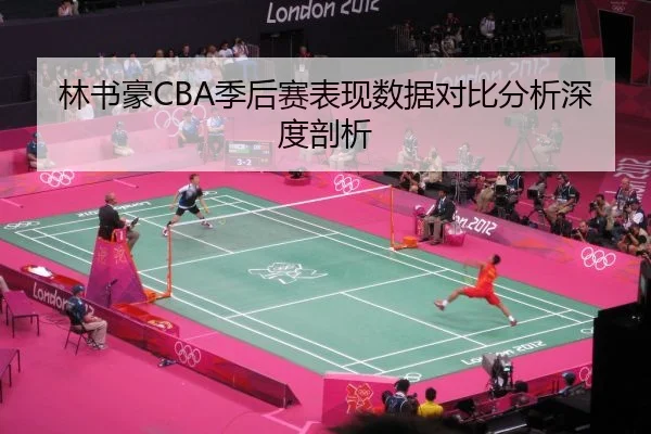 林书豪CBA季后赛表现数据对比分析深度剖析