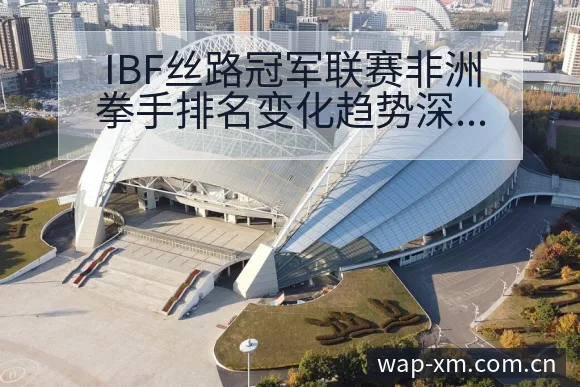 IBF丝路冠军联赛非洲拳手排名变化趋势深度观察 - 熊猫体育官网